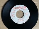 Burning Spear ( W . Rodney) - Rocking time