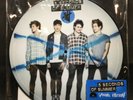 5 Seconds of Summer Special Edition Picture Disc Vinyl 5SOS Record Store Day RSD