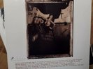 Schallplatte SURFER ROSA [Vinyl] von Pixies