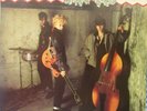 STRAY CATS 
