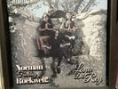 LANA DEL REY LP PINK VINYL ALBUM NFR NORMAN ROCKWELL UO URBAN OUTFITTERS
