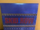 Skid Row – Subhuman Race 2021 30th Anniv x2 LP Vinyl Records Brand new Unsealed