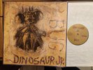 Dinosaur Jr. ‎– Bug Lp 1988 SST Records ‎– SST 216 Us Issue Dark Traslucent NM