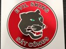 EVIL SKINS ‎- Docteur Skinhead/Sát côngs. 7'' ltd 175 copies Green Rare Oi  Punk