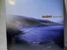 Incubus MORNING VIEW 180g GATEFOLD New Sealed Black Vinyl Record 2 LP