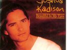 Joshua Kadison Beautiful In My Eyes UK 7