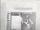 Jimi Hendrix: Live In Germany 1970:  Rare Collector's LP [Isle Of Fehmarn]