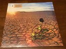 Black Rose by J.D. Souther New Sealed 2018 180g Gatefold Omnivore RE