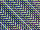 Animal Collective - Merriweather Post Pavilion [New Vinyl LP]