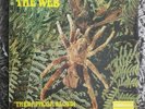 THE  WEB    THERAPHOSA BLONDI   MONO   DERAM