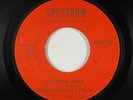 Crossover Soul 45 - Hoagy Lands-Lily Fields - Beautiful Music - Spectrum VG+ mp3