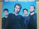del Amitri - Waking Hours,  rare vinyl copy in excellent condition
