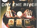 Dry The River Alarms In The Heart INCL. CD NEAR MINT Transgressive Vinyl LP