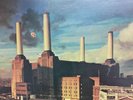 Pink Floyd Animals 1977 Wide spine A-4 press