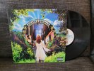 Scissor Sisters [PA] by Scissor Sisters (Vinyl, Feb-2004, Polydor)