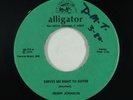 Funk Blues 45 - Jimmy Johnson - Serves Me Right To Suffer - Alligator - VG+ mp3