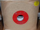 The Lemon Drops - I Live In The Springtime/Listen Girl 1967 US 7