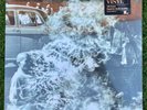 Rage Against The Machine [Legacy 180 Gram Vinyl LP, New, Made in EU]