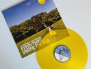 Jukebox the Ghost EVERYTHING UNDER THE SUN Color Vinyl LP Record 10th ANNIV ED.