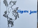 Tigers Jaw Self Titled Vinyl Photobooth Records 001 Hand Drawn Cover Title Fight