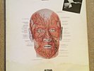 vinyle 33 tours - MALEDETTI (maudits) AREA - CRAMPS 1976