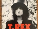 T.REX - THE SLIDER • MS 2095
