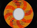 Northern Soul 45 - Sandy & The Pebbles - He's My Kind Of Fellow - Mercury - mp3