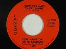 Northern Soul 45 - Edw. Hamilton & Arabians - Now You Have To Cry - Lanrod VG++
