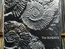 THE SUNDAYS READING, WRITING AND ARITHMETIC ORIGINAL 1990 ISSUE SHRINK NEAR MINT