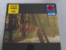 Camp by Childish Gambino (Record, 2011)
