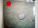 THEY MIGHT BE GIANTS: Book LP SEALED Vinyl Record