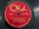 HOT JAZZ ARCADIAN SERENADERS Okeh 40538 Carry on Down/Back in Illinois V