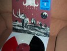 Acid Mammoth LP Caravan - RED, TRANSPARENT & BLACK VINYL - 35 COPIES