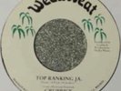 Grubrick ‎– Top Ranking JA  7”