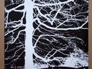Mirkwood ‎– Mirkwood same 2004 Germany LP ‎Amber Soundroom AS LP 015