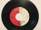 Freddie Caddell:At the Rockhouse / Gotta Big Fat Mama 45 rare Rockerbilly