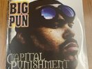 Big Pun Punisher Capital Punishment Lp Vinyl album sealed Color Hip hop 2LP