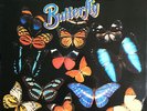The Hollies - Butterfly - Vinyl Record.. - G1177G