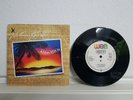 Achim Reichel - Aloha Heja He / Sturmflut - 1991 Single 7