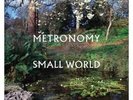 Metronomy Small World (Vinyl) Standard Edition