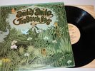 Vintage 1967 LP Beach Boys *SMILEY SMILE* vinyl