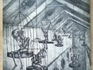 THE REST - Vinyl LP 1986 (Punk, Hardcore) -Slime, Toxoplasma, Upright Citizens