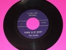 Rare 45 garage rock THE HEARD Walk in the Sunlight/Itchin in My Heart GARLAND V+