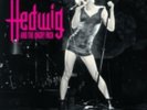 OST: Hedwig And The Angry Inch (2LP PINK ETCHED)  LP vinyl *SEALED*