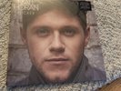 NIALL HORAN SEALED VINYL FLICKER RARE PROMO ONE DIRECTION Harry Styles Adele