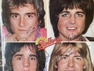 BAY CITY ROLLERS -Greatest Hits 1977  Vinyl LP Arista Autographed On Front