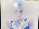Sinead O’Connor “The Lion and the Cobra” original 1987 Vinyl LP Record