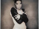 Björk - Human Behaviour - 1993 UK 12
