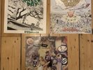 Green Day 39/Smooth / Dookie / Insomniac Vinyl Albums. Lookout Records / Reprise