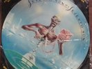 Iron Maiden Seventh son of a Seventh son Vinyl Picture Disc 1988 